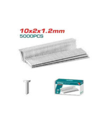 TOTAL CLOUS FINITION 10X2X1.2MM THT39105
