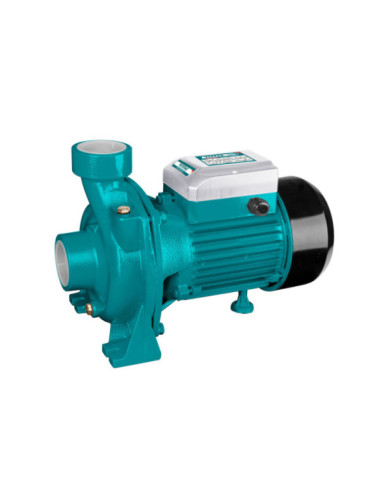 ELECTRO-POMPE 2CV 1500W TWP215002