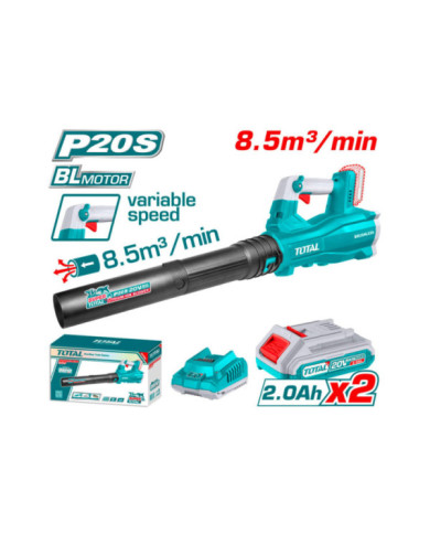 SOUFLEUR 20V 2.2AH/CH TABLI204282