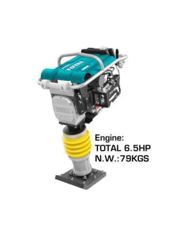 DAMME SAUTEUSE 6,5HP 4.8KW TP880-2