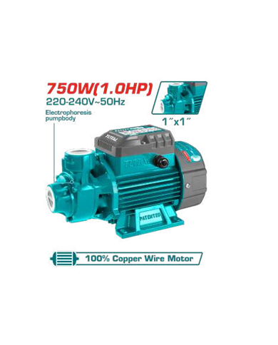ELECTRO-POMPE TOTAL 1CV TWP17506