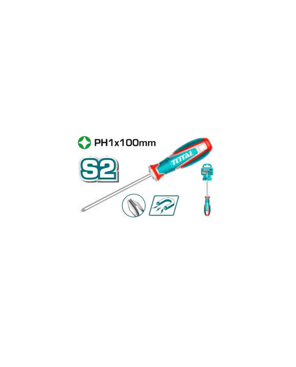 TOTAL TOURNEVIS 1X100 TS- DPH1100