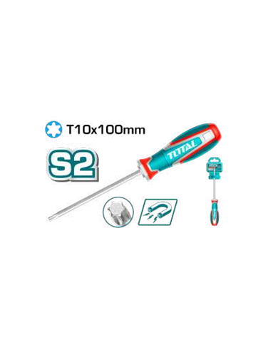 TOTAL TOURNE- VIS TORX 10X100MM TSDT10100