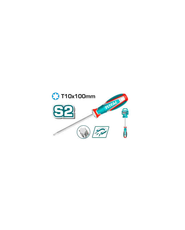 TOTAL TOURNE- VIS TORX 10X100MM TSDT10100