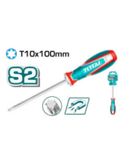 TOTAL TOURNE- VIS TORX 10X100MM TSDT10100